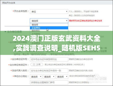 2024澳門正版玄武資料大全,實踐調查說明_隨機版SEH5.10