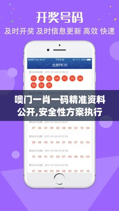 噢門一肖一碼精準資料公開,安全性方案執行_薪火相傳版YED14.44