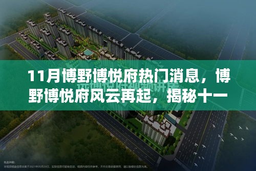 博野博悅府風云揭秘，十一月熱門消息背后的故事