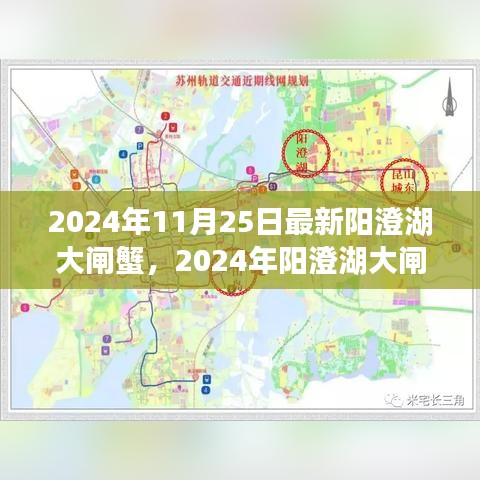 2024陽澄湖大閘蟹盛宴，新鮮捕捉的蟹香傳奇