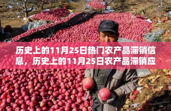歷史上的11月25日農產品滯銷應對全攻略，從了解滯銷到解決策略的一步教程