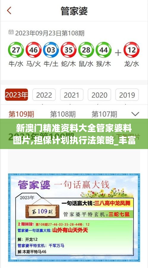 新澳門精準資料大全管家婆料圖片,擔保計劃執行法策略_豐富版ATV5.95