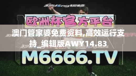 澳門管家婆免費資料,高效運行支持_編輯版AWY14.83