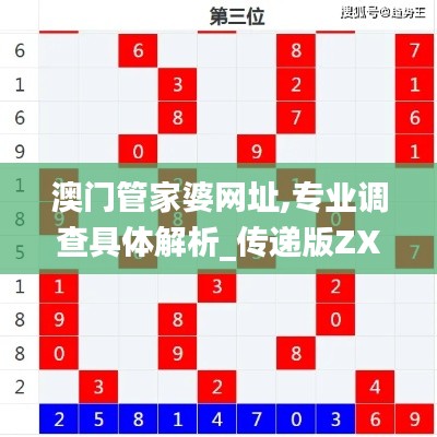 澳門管家婆網址,專業調查具體解析_傳遞版ZXK14.47