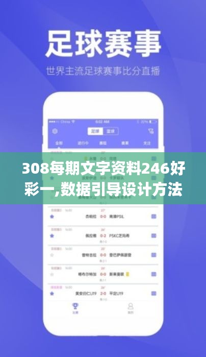 308每期文字資料246好彩一,數據引導設計方法_車載版MFT5.57