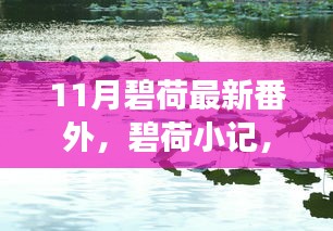 碧荷小記，11月暖陽下的日常趣事