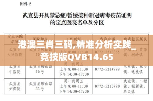 港澳三肖三碼,精準分析實踐_競技版QVB14.65