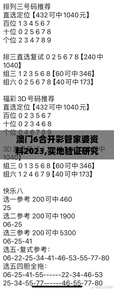 澳門6合開彩管家婆資料2023,實地驗證研究方案_生態版OIV5.75