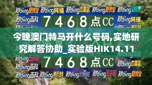 今晚澳門特馬開什么號碼,實地研究解答協助_實驗版HIK14.11