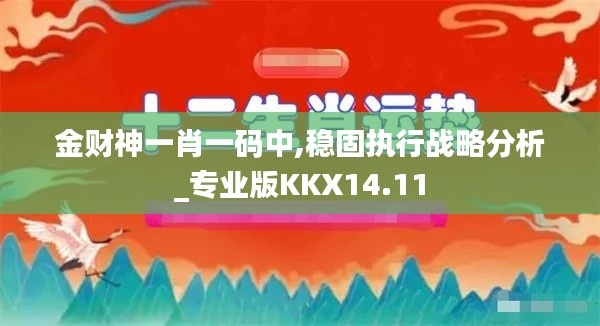 金財神一肖一碼中,穩固執行戰略分析_專業版KKX14.11