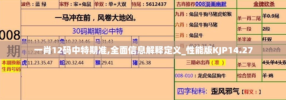 一肖12碼中特期準,全面信息解釋定義_性能版KJP14.27