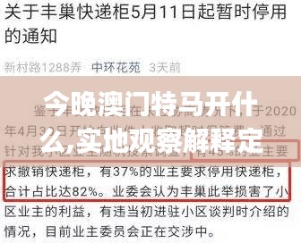今晚澳門特馬開什么,實地觀察解釋定義_社區(qū)版TNL14.34