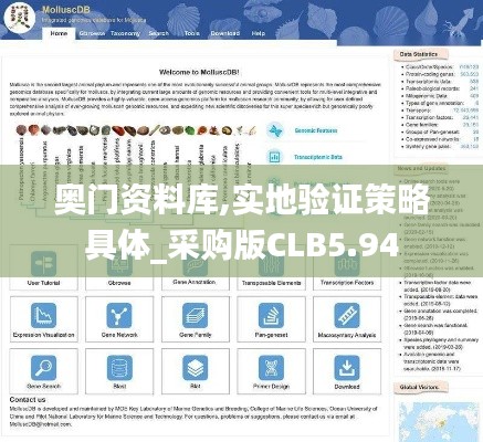 奧門資料庫,實地驗證策略具體_采購版CLB5.94