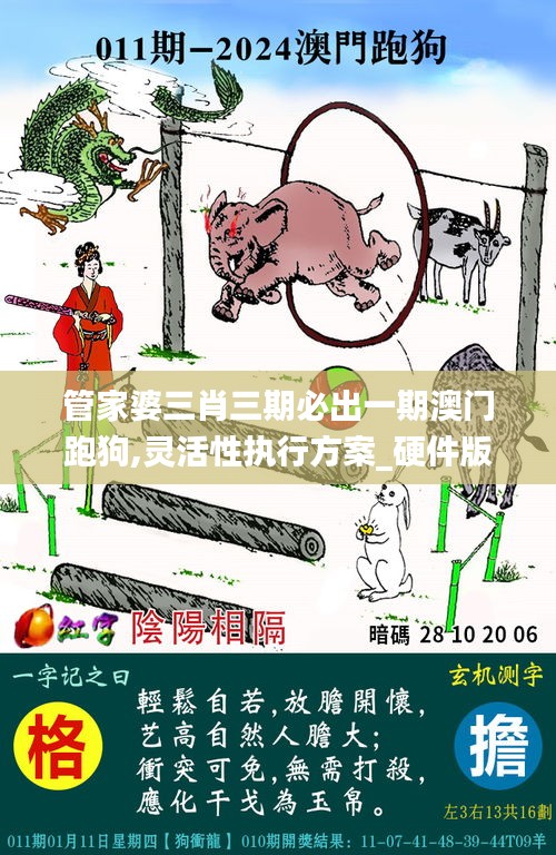 管家婆三肖三期必出一期澳門跑狗,靈活性執(zhí)行方案_硬件版LBL14.32