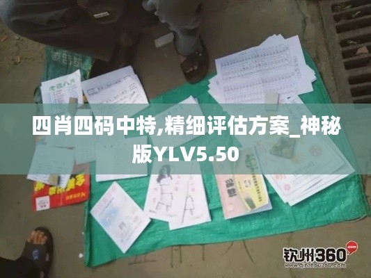 四肖四碼中特,精細評估方案_神秘版YLV5.50