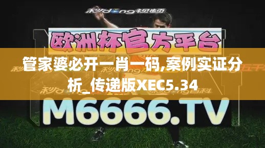 管家婆必開一肖一碼,案例實(shí)證分析_傳遞版XEC5.34