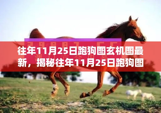 揭秘往年11月25日跑狗圖玄機(jī)圖，深度解析三大要點(diǎn)與最新動態(tài)分析
