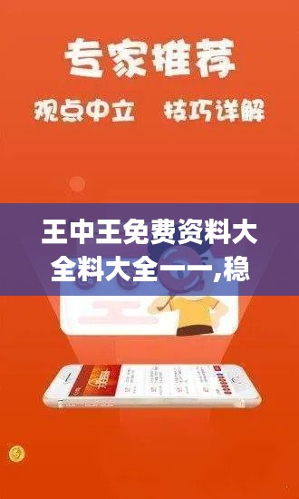王中王免費資料大全料大全一一,穩(wěn)健設計策略_快速版NLG5.3