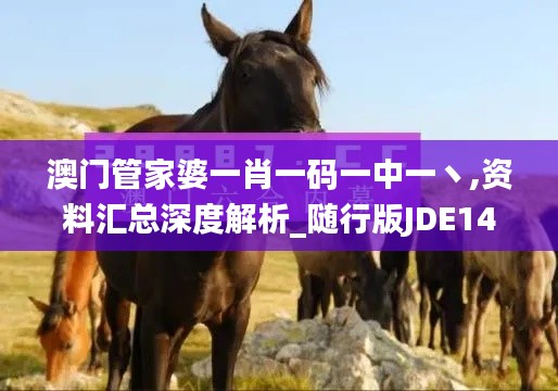 澳門管家婆一肖一碼一中一丶,資料匯總深度解析_隨行版JDE14.15