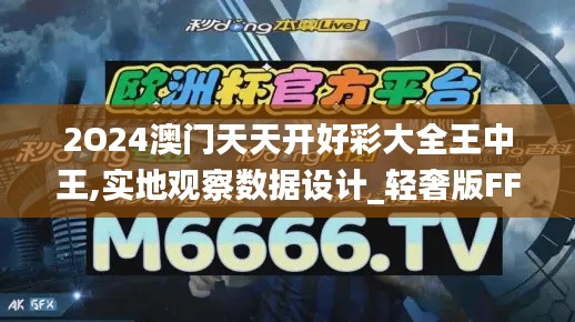 2O24澳門天天開好彩大全王中王,實地觀察數據設計_輕奢版FFG5.88