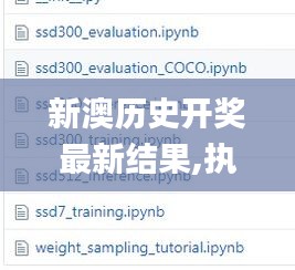 新澳歷史開獎最新結果,執行驗證計劃_高清晰度版VDO5.96
