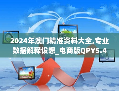 2024年澳門精準資料大全,專業數據解釋設想_電商版QPY5.42