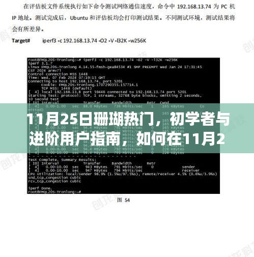 11月25日珊瑚熱門攻略，初學(xué)者與進階用戶指南，玩轉(zhuǎn)珊瑚任務(wù)