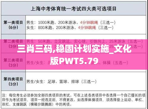 三肖三碼,穩固計劃實施_文化版PWT5.79