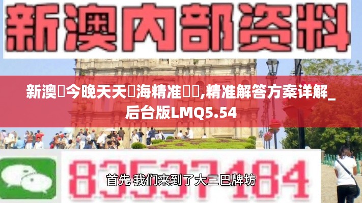 新澳門今晚天天開海精準號馬,精準解答方案詳解_后臺版LMQ5.54