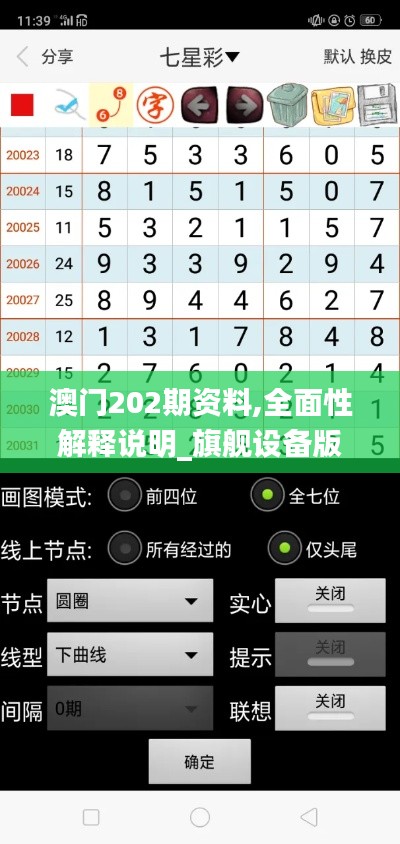 澳門202期資料,全面性解釋說明_旗艦設備版SIP14.78