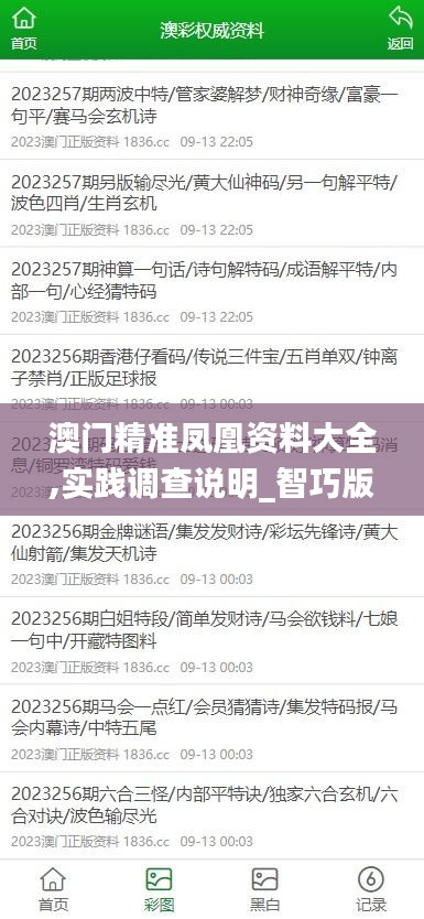 澳門精準鳳凰資料大全,實踐調查說明_智巧版QAD14.16