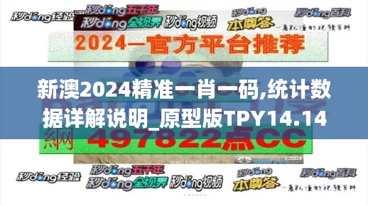 新澳2024精準一肖一碼,統計數據詳解說明_原型版TPY14.14