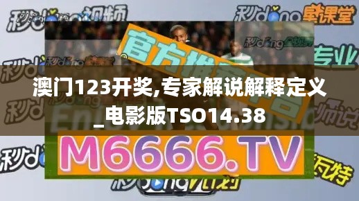 澳門123開獎,專家解說解釋定義_電影版TSO14.38