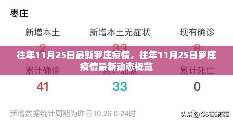 往年11月25日羅莊疫情最新動態(tài)概覽與疫情分析