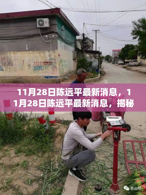揭秘陳遠(yuǎn)平最新動(dòng)態(tài)與成就，最新消息一覽