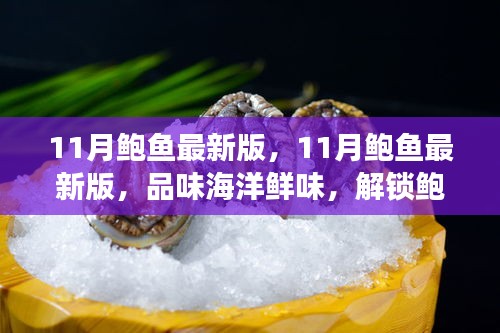 11月鮑魚最新版，解鎖鮑魚美食新境界，盡享海洋鮮味