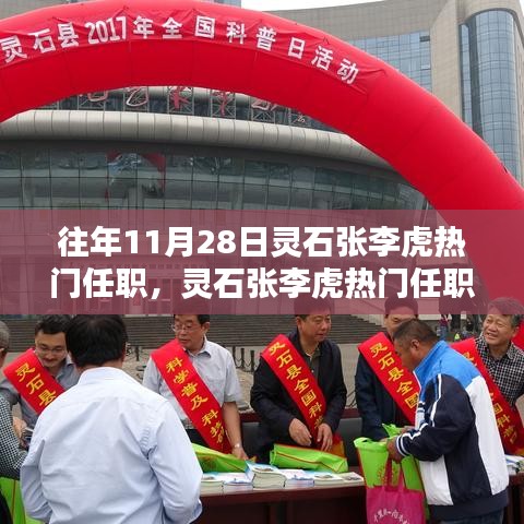 靈石張李虎熱門任職深度解析，特性、體驗、競品對比及用戶群體全面剖析