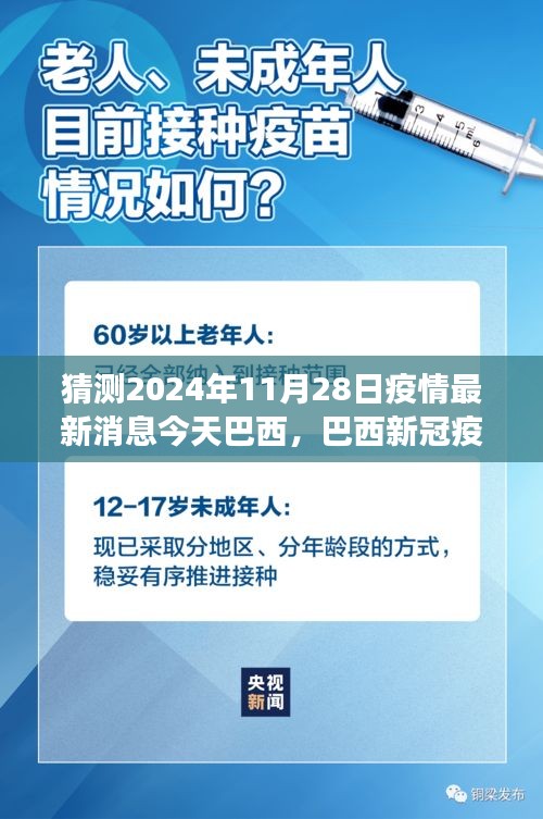 2024年11月28日巴西疫情最新動態預測與評估展望