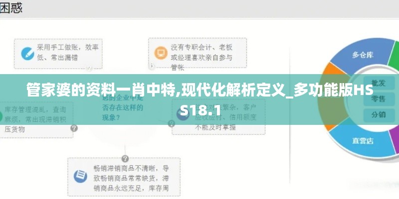 管家婆的資料一肖中特,現代化解析定義_多功能版HSS18.1