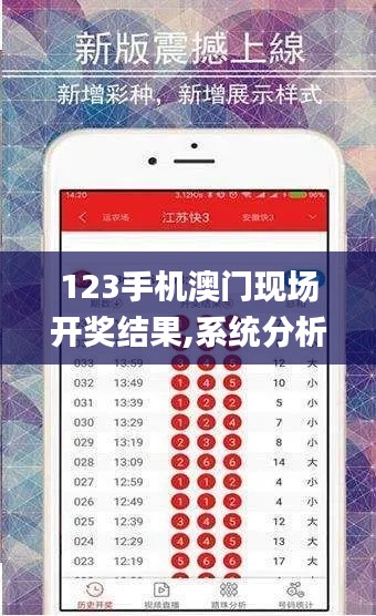 123手機澳門現場開獎結果,系統分析方案設計_高級版VQK18.79
