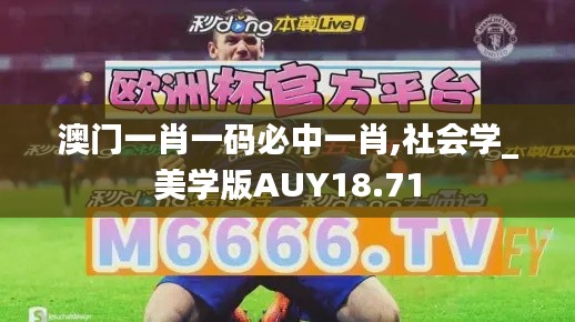 澳門一肖一碼必中一肖,社會學_美學版AUY18.71
