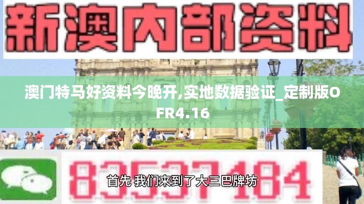 澳門特馬好資料今晚開,實地數據驗證_定制版OFR4.16