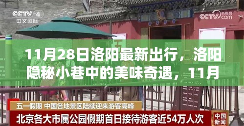 11月28日洛陽隱秘小巷美食之旅，別樣出行與美味奇遇