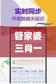 管家婆三肖一碼一定中特,專業解讀方案實施_緊湊版MQM4.19
