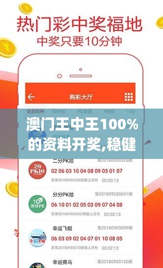 澳門王中王100%的資料開獎,穩健設計策略_明亮版YYP4.29