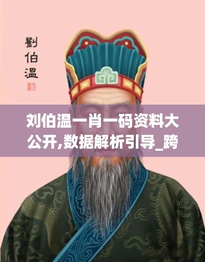 劉伯溫一肖一碼資料大公開,數據解析引導_跨界版QXZ18.53