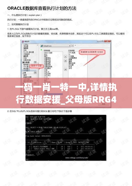 一碼一肖一特一中,詳情執行數據安援_父母版RRG4.44