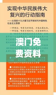 澳門免費資料大全集,社會承擔實踐戰略_生活版LTQ4.2