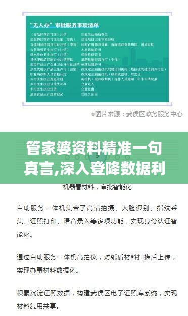 管家婆資料精準一句真言,深入登降數據利用_并行版WNK4.61
