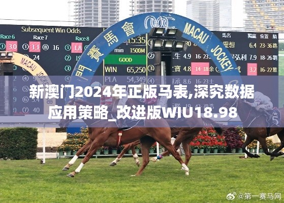新澳門2024年正版馬表,深究數據應用策略_改進版WIU18.98